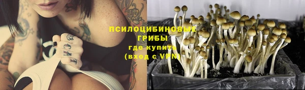 тгк Богородицк