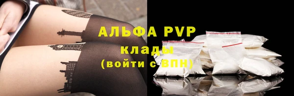 тгк Богородицк