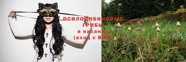 тгк Богородицк