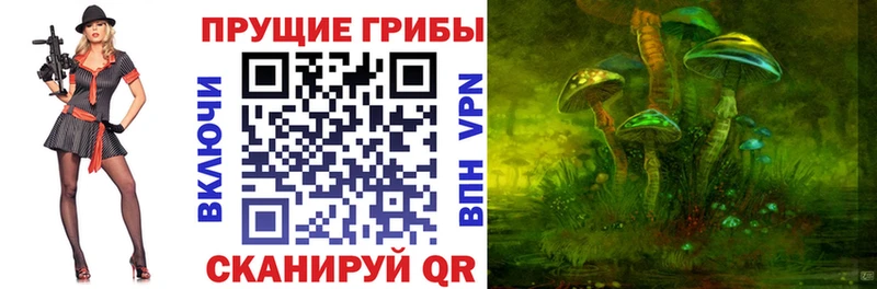 цены   Дагестанские Огни  Псилоцибиновые грибы мухоморы 