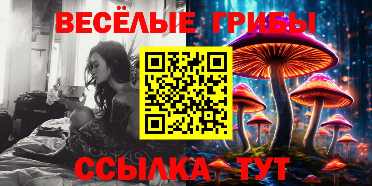 Галлюциногенные грибы GOLDEN TEACHER Дагестанские Огни