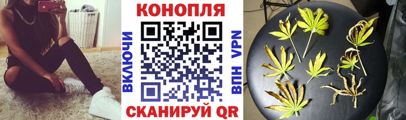 Марихуана сатива где найти Дагестанские Огни